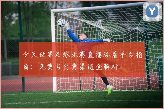 今天世界足球比赛直播观看平台指南:免费与付费渠道全解析