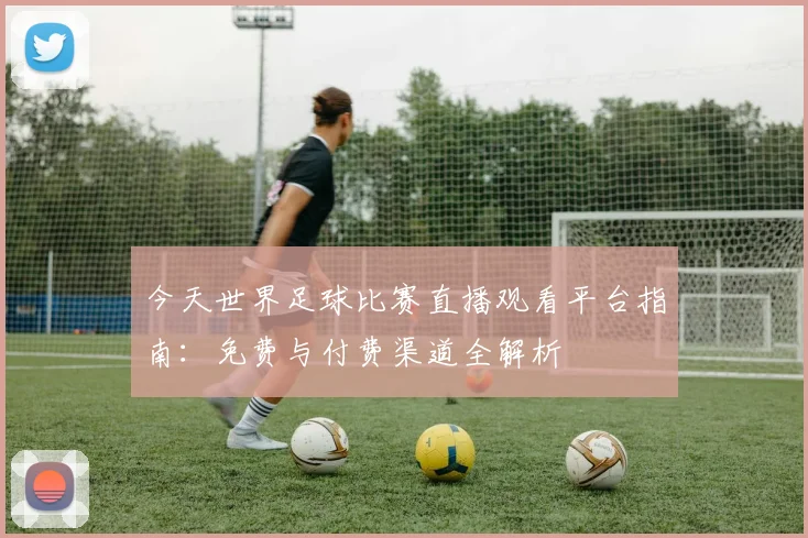 今天世界足球比赛直播观看平台指南:免费与付费渠道全解析