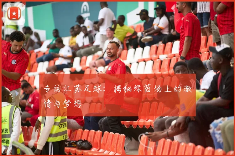 专访江苏足球:揭秘绿茵场上的激情与梦想